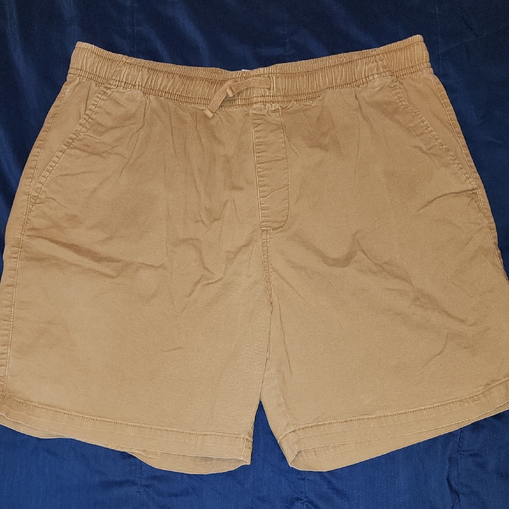 Old Navy Men's Tan Flat Front Shorts